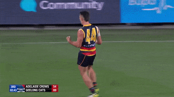 round 3 celebration GIF by Adelaide Crows