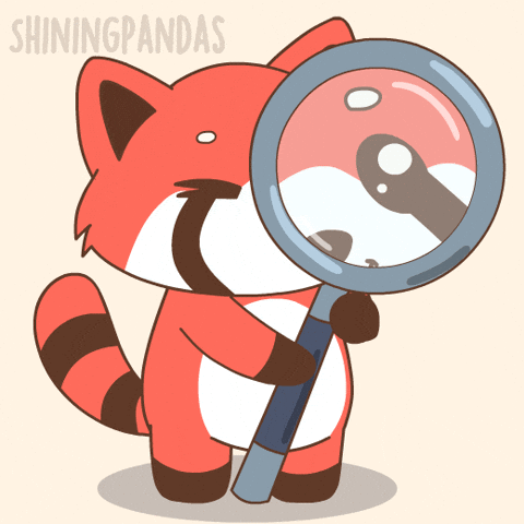Searching Red Panda GIF
