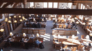 University Library GIF by Washington University in St. Louis
