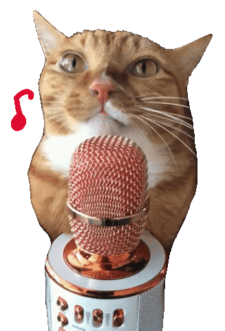 Music Sticker