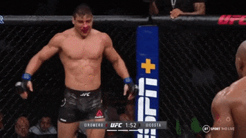 Ufc GIF