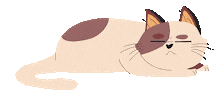 Cat Sticker