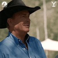 Kevin Costner Smile GIF by Yellowstone