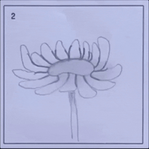 Digital illustration gif. Flip-book style images show the stages of a flower blooming with numbers in the top corner that change from 1 to 8. 