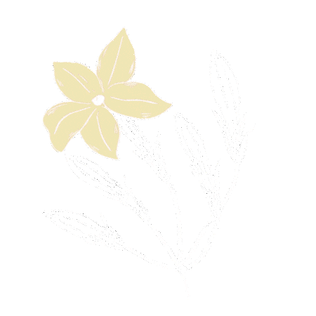 Jasmine Sticker by HijabChic