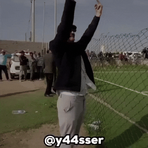 Fans Morocco GIF