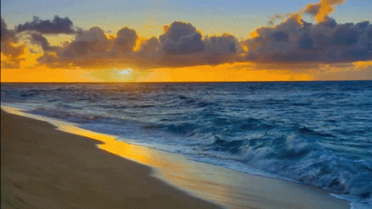 Beach Day GIF - Find & Share on GIPHY