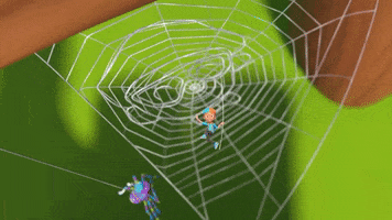 Spider Web Wow GIF by moonbug