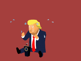 Trump Crying GIF