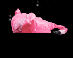 Orkla Care Danmark GIF