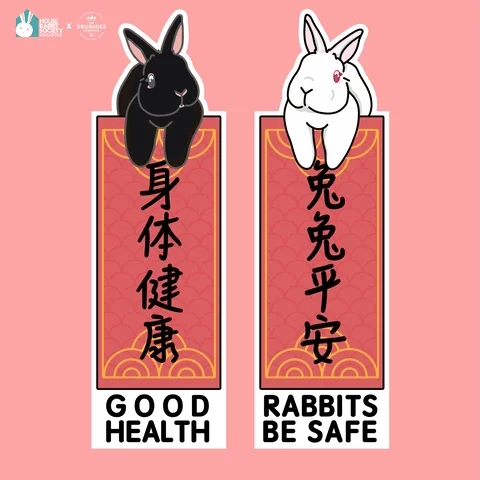 Chinese Bunny GIF by the3bunnies.co