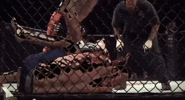 GIF by The Hive MMA