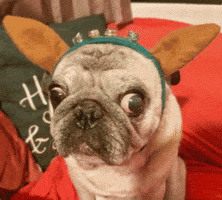 Dino Reaction Image GIF