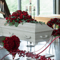 200.gif?cid=fc005b088637187e9e0188e9874ec96098e4d7465ea5bd7a&rid=200.gif&ct=g