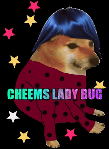 Revicheems ladybug cheems cheemsladybug cheemsdisney GIF