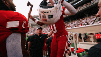 Football GIF by Cincinnati Bearcats