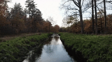 Water Boom GIF by Stad Genk
