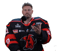 Fight Skills Sticker by Saale Bulls