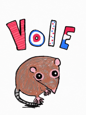 Vote Voting GIF by Kimmy Ramone