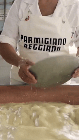 Cheese Parma GIF by Parmigiano Reggiano