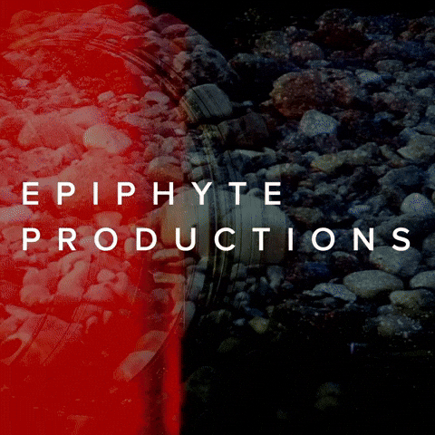 Epiphyte Productions GIF