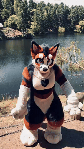 Furry GIF