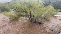 Roads Closed Across Central Arizona as Flooding Persists