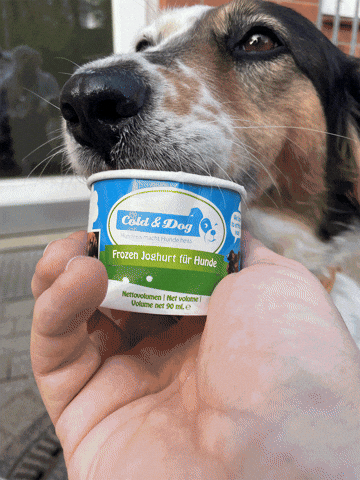 Wilma GIF by DeinTopf e. V.