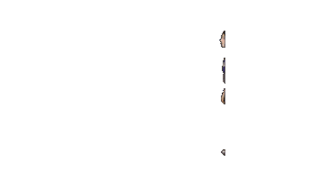 Softball Ppp Sticker by Albion College