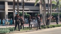 Mariachi Band Plays for Health Workers