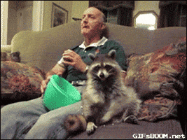 couch popcorn GIF