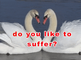 poetry suffer GIF by Molly Soda