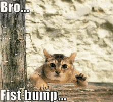 Mei Mei Fist Bump GIF