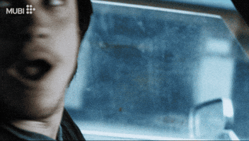Amores Perros Film GIF by MUBI