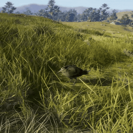 theHunter: Call of the Wild (Official) GIF
