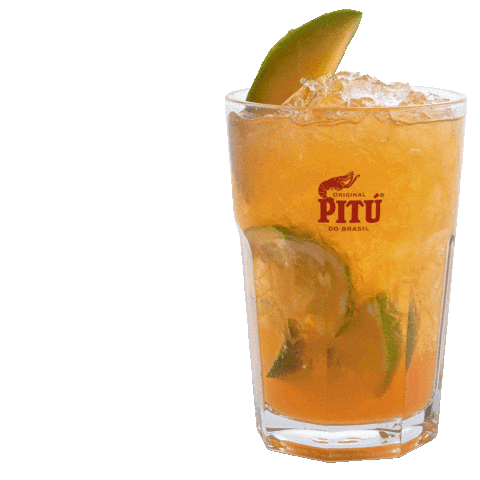 PITÚ Deutschland Sticker