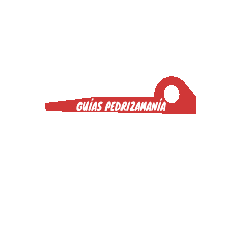GuiasPedrizamanía Sticker