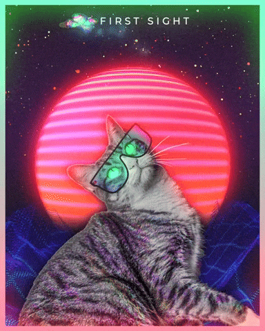 Cat GIF