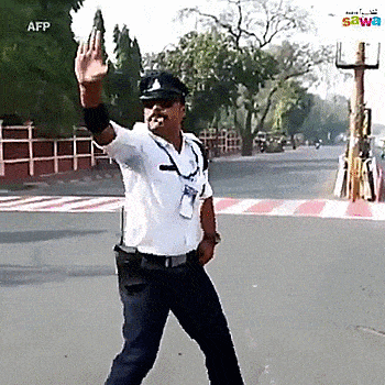 Giphy - Cop Stop And Go GIF