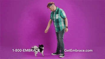 Dance Doghealth GIF by Embrace Pet Insurance