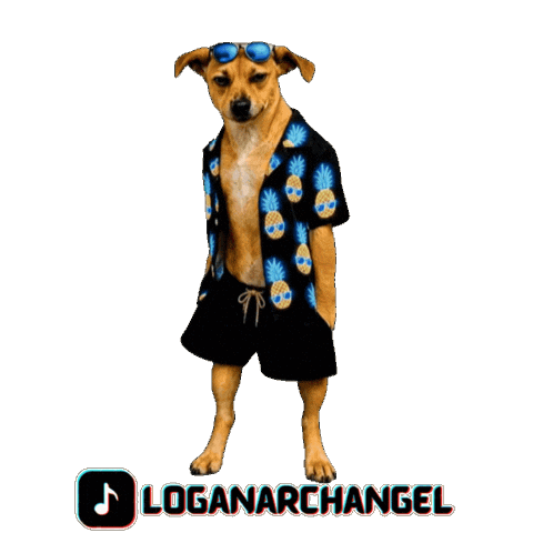 Cool Dog Logan Sticker