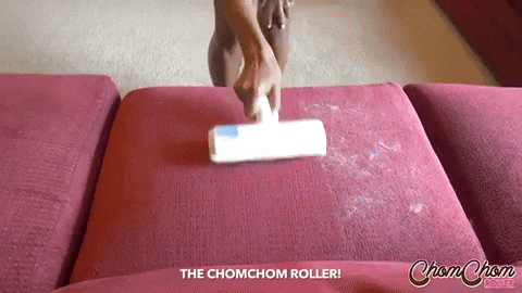 ChomChom Roller pet hair remover dog hair remover cat hair remover chom chom roller GIF