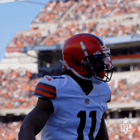 Cleveland Browns GIF by NFL