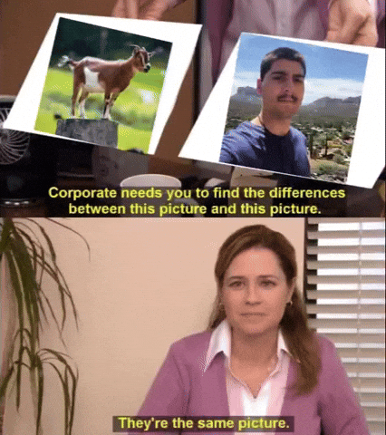 Portillo GIF
