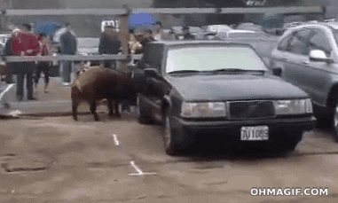 confused home video GIF