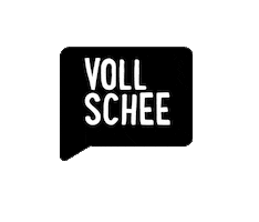 Party Hair Sticker by Stadtfriseure Regensburg