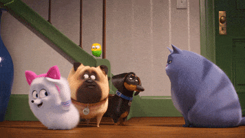 Shake It Fun GIF by The Secret Life Of Pets