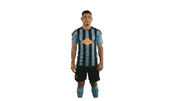 Russo Svw07 Sticker by SV Waldhof Mannheim