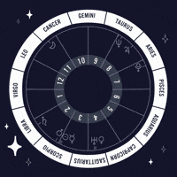 Birthday Reading GIF by Sanctuary