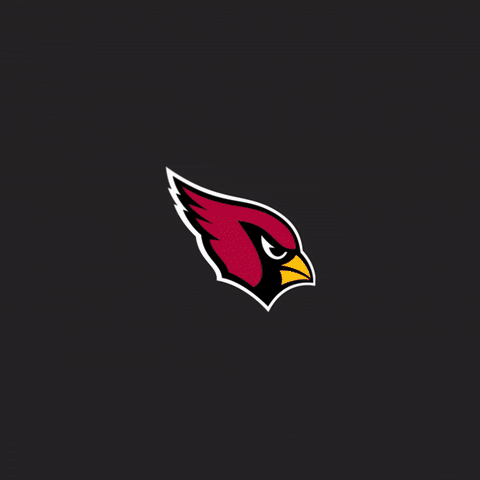 Red Sea Sack GIF by Arizona Cardinals